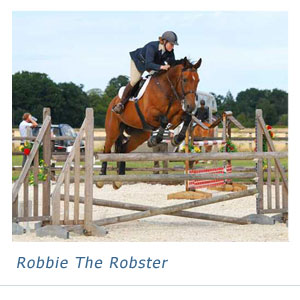Robbie The Robster