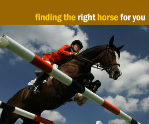 finding the right horse for you