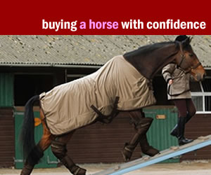 buying a horse with confidence